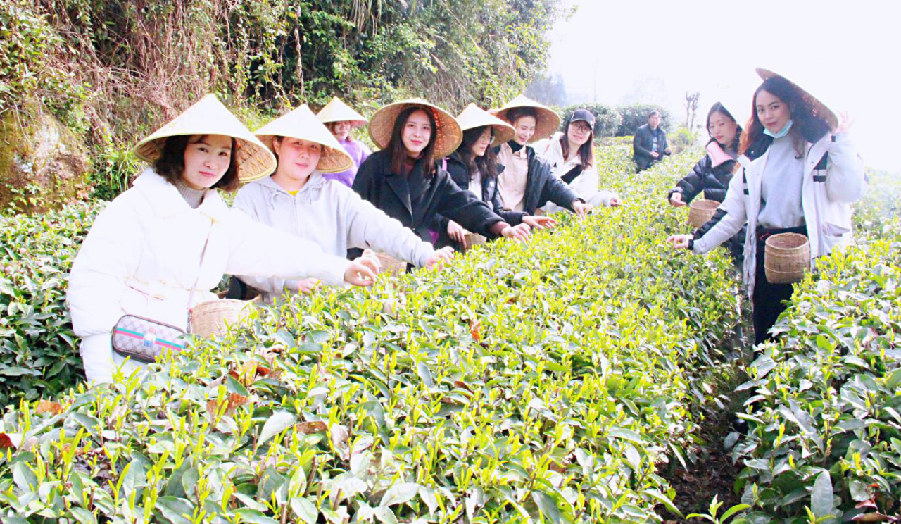 图片1.png 图片1.png