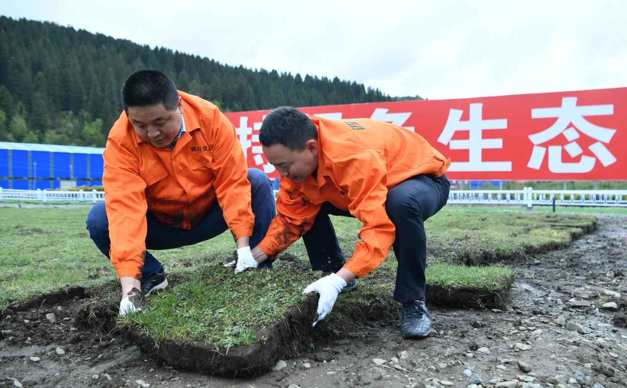 久马高速建设者正在堆放草甸.jpg 久马高速建设者正在堆放草甸.jpg