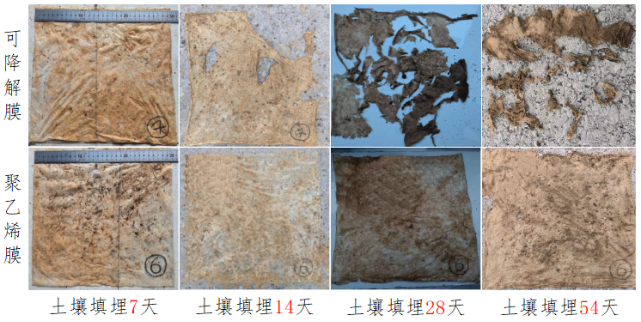 土壤填埋填埋.jpg 土壤填埋填埋.jpg